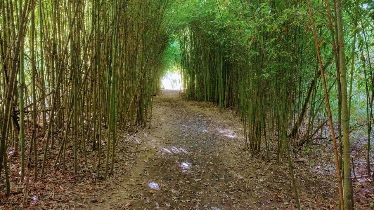 Cabana Sol De Medianoche Delta Tigre Eksteriør bilde